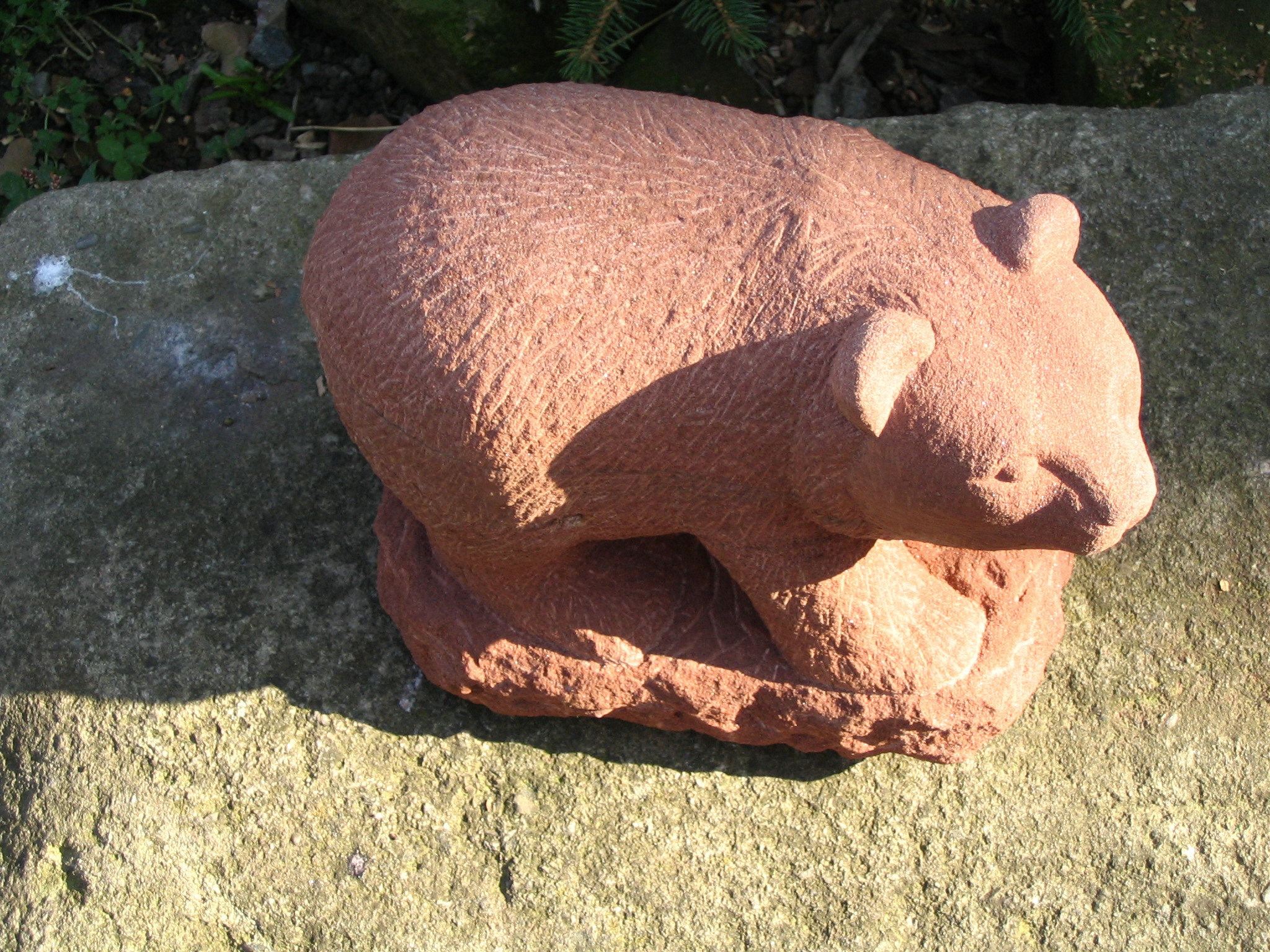 Baer10 04.jpg